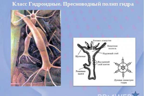 Не работает мега через тор сегодня