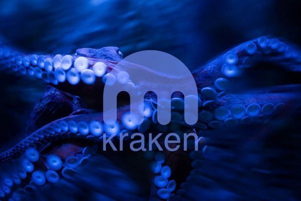 Kraken ссылка tor зеркало