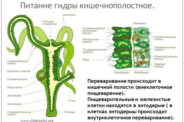 Кракен официальный сайт ссылка